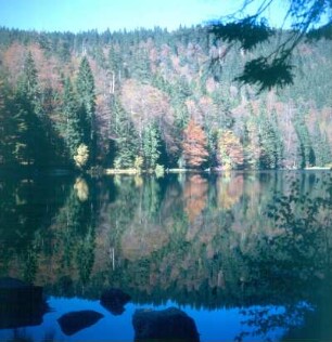 Nationalpark Bayerischer Wald. Blick auf den Rachelsee