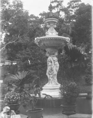 Springbrunnen : XXX