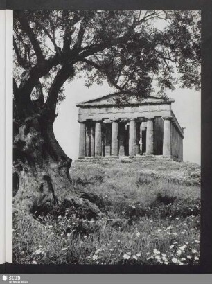 Der sogennante Tempel der Concordia