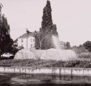 Dresden-Kaditz, private Gartenanlage mit Folienzelten und Schlaghebelregner