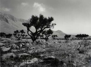 Halbinsel Mani, karge Landschaft bei Gerolimenas