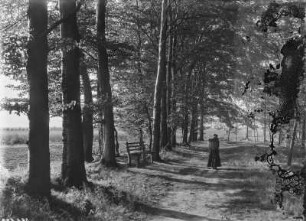 Frau mit Kiepe auf einem Waldweg an einem Feldrand (vielleicht bei Greiz)