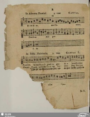 X. Anonymus: Benedicamus Domino