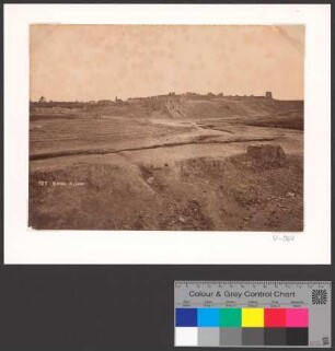 Biskra - Algérie