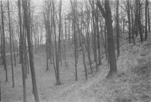 Rackeler Schanze. Ringwall. : Rakojdźanske hrodźišćo.