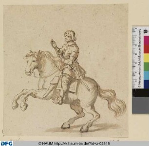 Steigendes Pferd mit Reiter