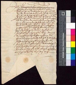 Kunigunde Berka von Duba, geborene Gräfin von Eberstein (Könegunda Berckin geborne Graefien von Eberstein), bestätigt Bürgermeister und Rat der Stadt Bautzen den Empfang der königlichen Jahrrente von 11 Schock und 15 Groschen zu St. Galli für den verstorbenen Herrn Berka von Duba auf Leipa.