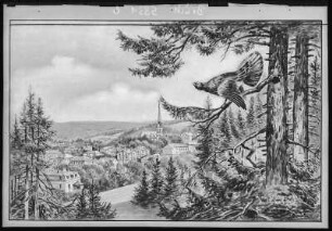 Bad Elster. Blick auf Bad Elster mit Auerhahn