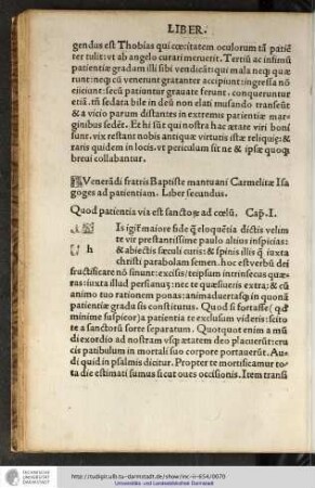 Venerandi fratris Baptiste Mantuani Carmelitae isagoges ad patientiam. Liber secundus.