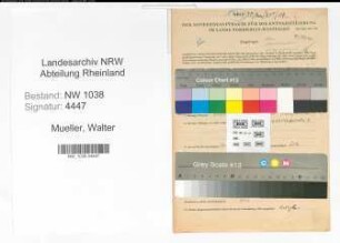 Entnazifizierung Walter Mueller , geb. 11.09.1908 (Landarbeiter)