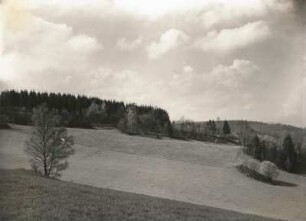 Osterzgebirge. Mordgrund, Naturschutzgebiet Bienhof bei Oelsen