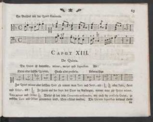 Caput XIII. De Quinta