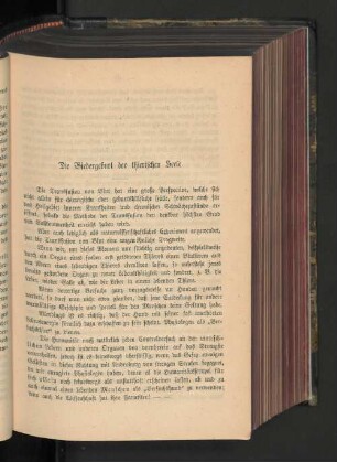Die Wiedergeburt der thierischen Seele.