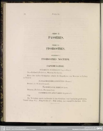 Ordo II. Passeres