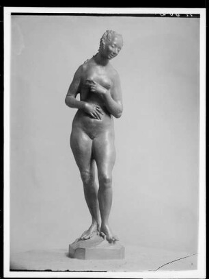 Venus