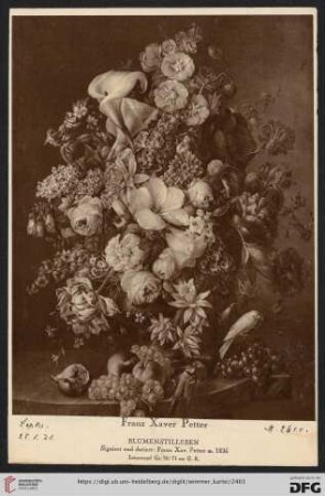 Petter, Franz Xaver