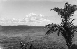 Fischer : Blick über die Palmen auf das Meer und einen Fischer.