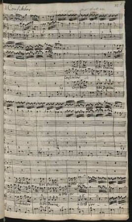 Confitebor; V (3), strings, org; g-Moll
