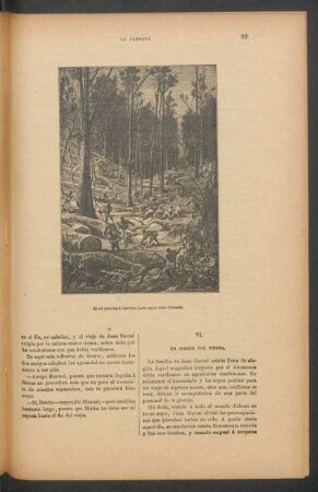 VI. - Un bosque por tierra.