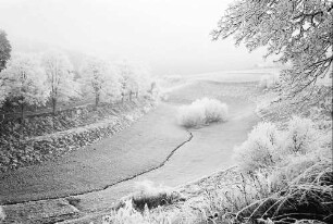 Kappel: Tal im Raureif mit Straße bei Kappel