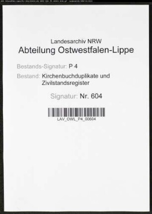 Kirchenbuchduplikat der katholischen Landgemeinde St.Patrokli Börde, Kreis Soest (GHT 1868). (Gemeinde: Katholische Landgemeinde St.Patrokli Börde)