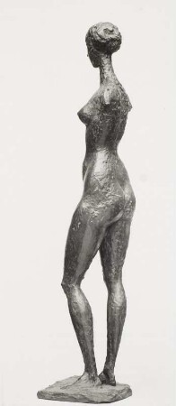 Weiblicher Torso