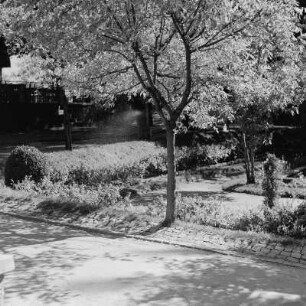 Im Stadtpark von Plowdiw