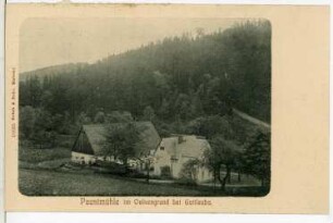 Gottleuba. Paustmühle im Oelsengrund