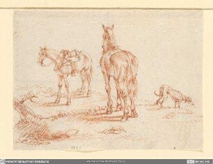 Zwei Pferde und Windhund