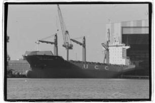 Libra Santa Catharina (2004)
