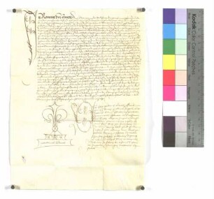 Notarielle Bestätigung durch Petrus Trach für Martin Keusch und Ulrich Kastner auf eine Vikarie in Öhringen; ausgestellt o.O., 1491; Pergament, Notariatszeichen: Petrus Trach.