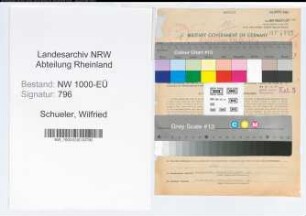 Entnazifizierung Wilfried Schueler, geb. 16.03.1902 (Arzt)