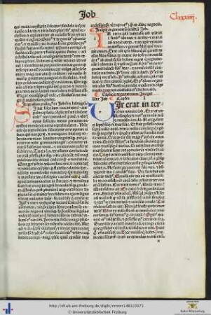 Argumentum in librum Job