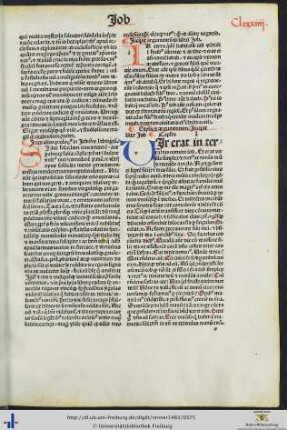 Argumentum in librum Job