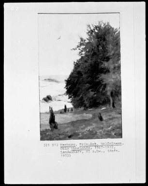 Wiesenlandschaft mit Waldstück