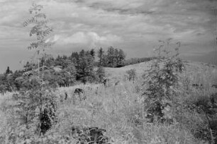 Landschaft im Harz
