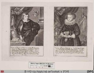 Bildnis Joseph von Furtenbach d. J.