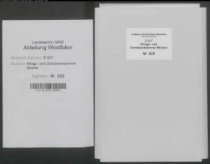 Amt Reineberg - Vogtei Gehlenbeck - Bauerschaft Nettelstedt: Revidiertes Kataster
