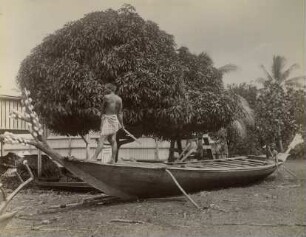 "Kriegsboot, Samoa Ins."