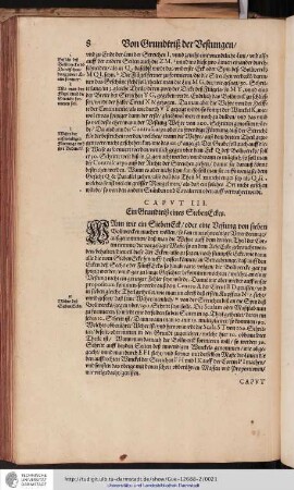 Caput III. Ein Grundtrisz eines Sieben Ecks