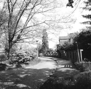 Cottbus-Spremberger Vorstadt. Humboldtstraße. Blick vom Eichenplatz