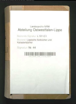 Salbuch der Vogtei Detmold von 1827, Bd. 2 (Duplikat)