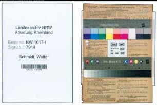 Entnazifizierung Walter Schmidt , geb. 23.08.1907 (Schlosser)