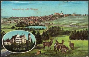 Aulendorf mit gräfl. Wildpark
