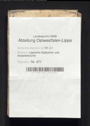 Salbuch des Amtes Barntrup von 1782 (Duplikat)
