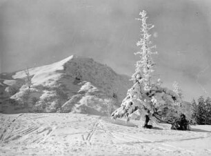 Winterlandschaft