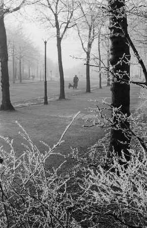 Raureif im Johannapark, im Hintergrund ein Passant