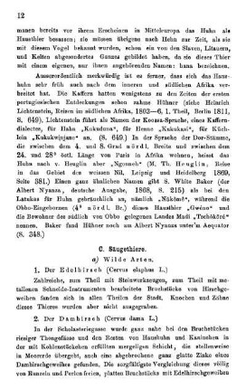 C. Säugethiere.