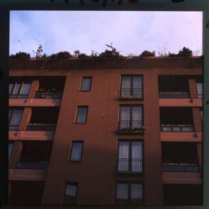Diapositiv: Mariannenstr. 52, 1982