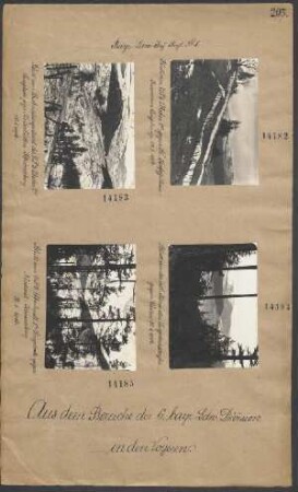 Blick von UP 1 Abschn. 1a gegen SW. Kartoffelhaus-Ruine am Lingehang
